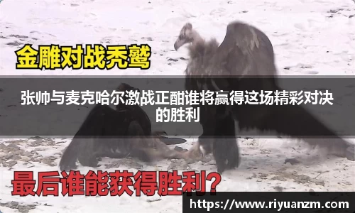 k1体育官网